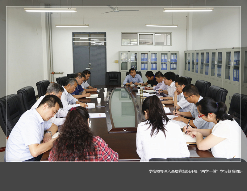 乐投在线领导深入基层党组织开展“两学一做”学习教育调研