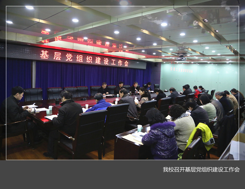 我校召开基层党组织建设工作会