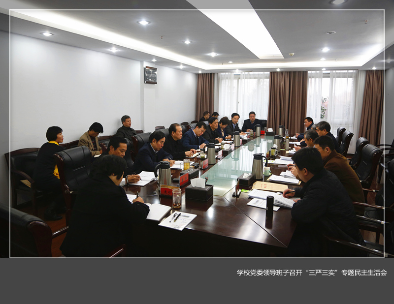 乐投在线党委领导班子召开“三严三实”专题民主生活会